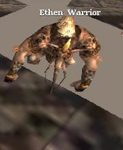 Ethen Warrior